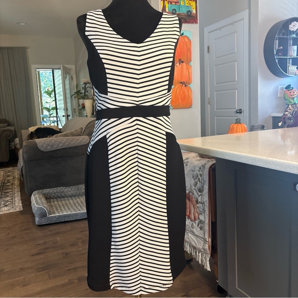 Shelby & Palmer Black and White Striped Dress - Picture 2 of 7